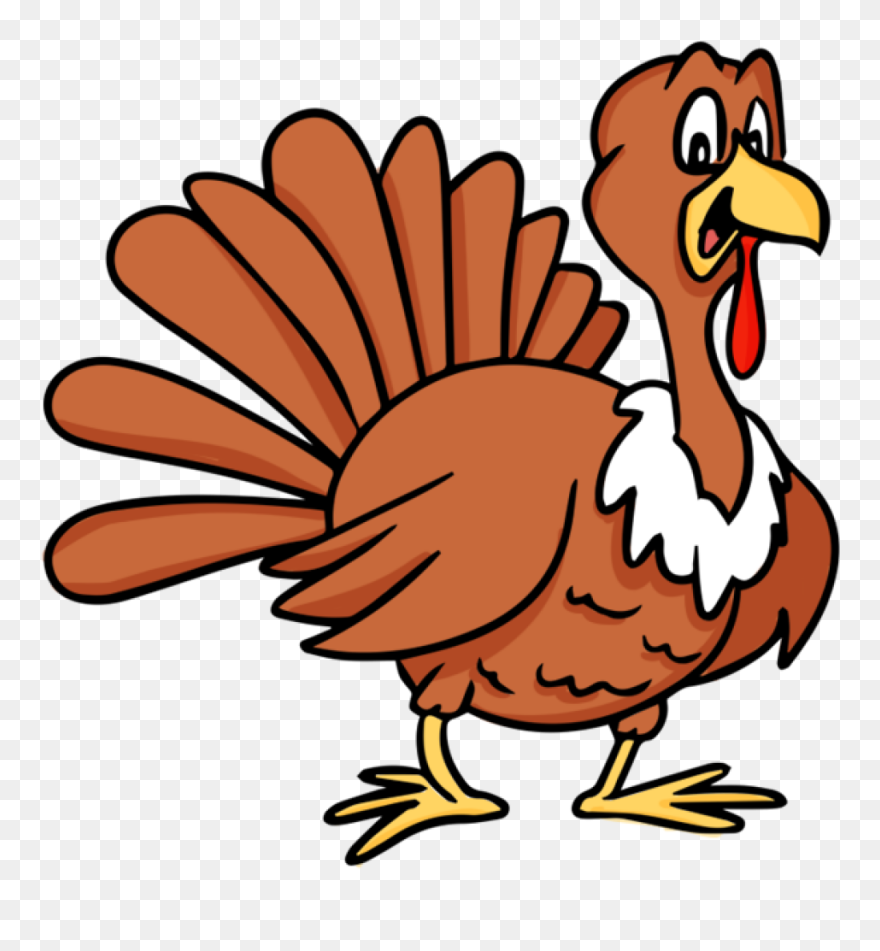 Animated - Cartoon Turkey Clipart
