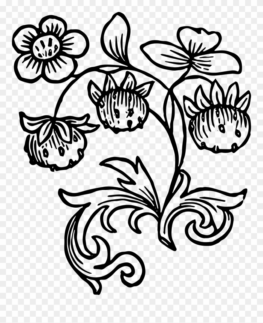 Royalty Free Images Vintage Strawberries Clip Art - Black White Strawberry Plant Png Transparent Png