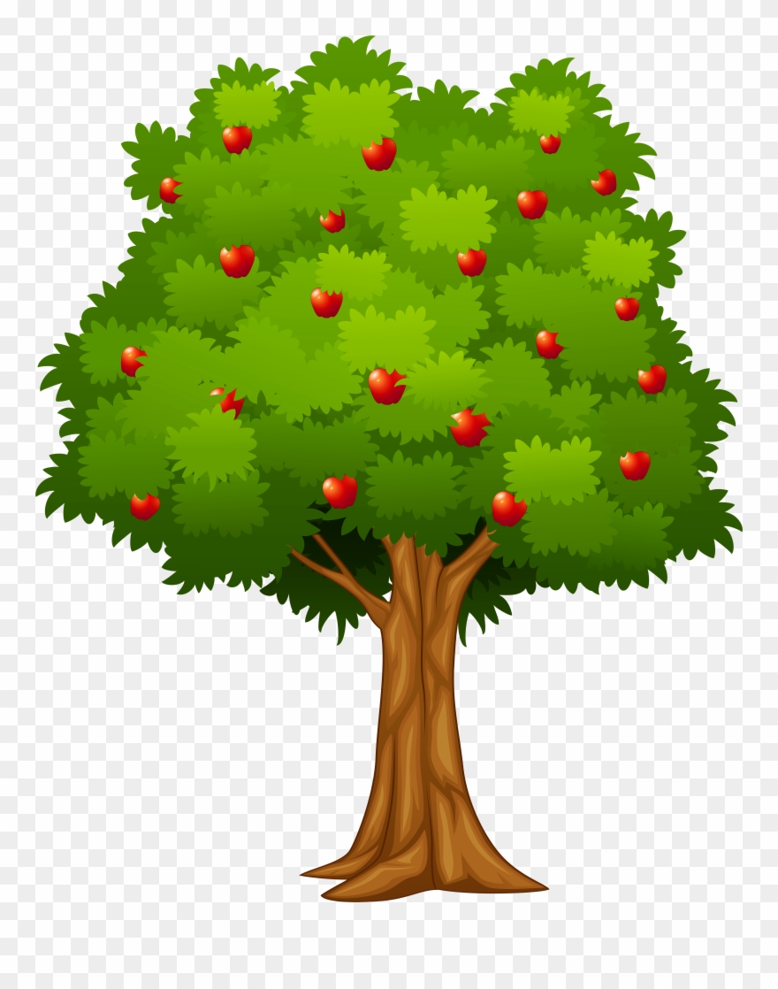 Tree Pictures Clip Art - Png Download