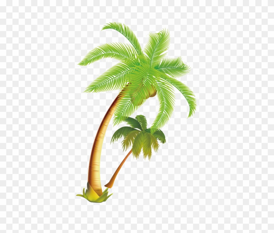 Coconut Tree Vector Png Clipart Palm Trees Coconut - Palm Trees Vector Png Transparent Png