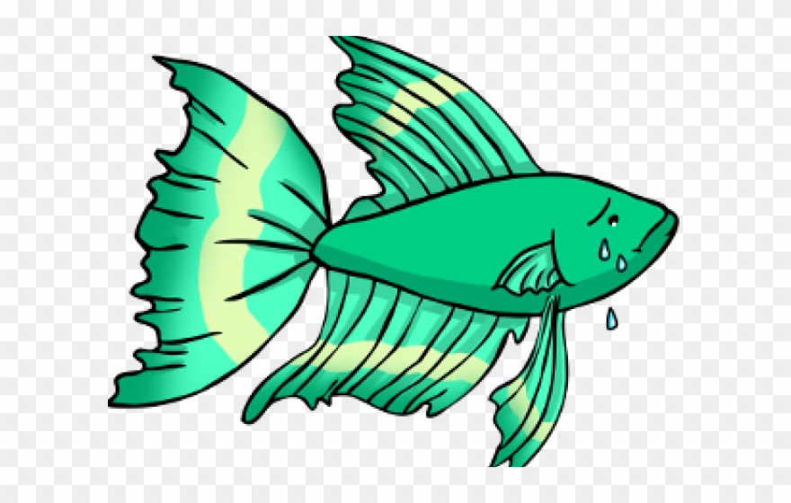 Tropical Fish Clipart Betta Fish - Lonely Betta Fish - Png Download