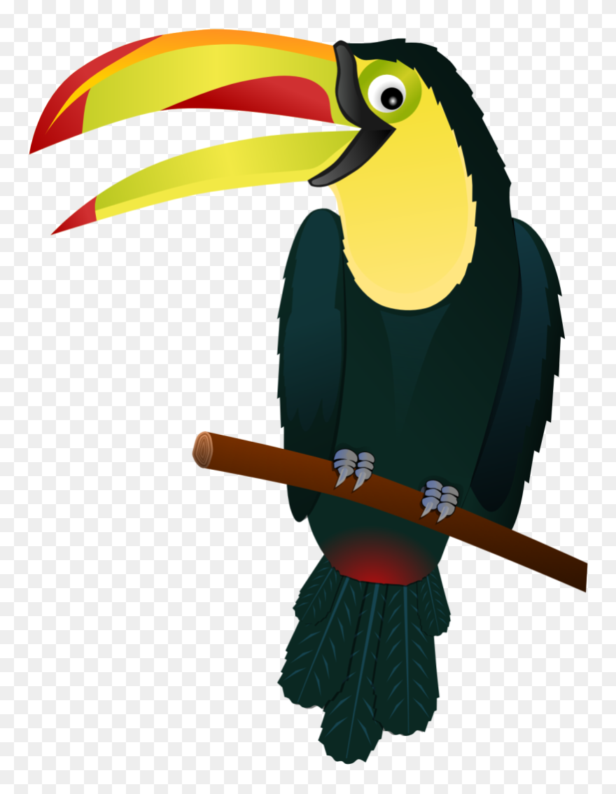 Hawaiian Clipart Tropical Bird - Tropical Bird Clip Art - Png Download