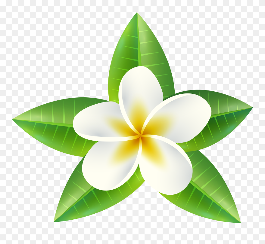 Tropical Flower Png Clip Art Imageu200b Gallery Yopriceville - Tropical Flowers Png Transparent Png