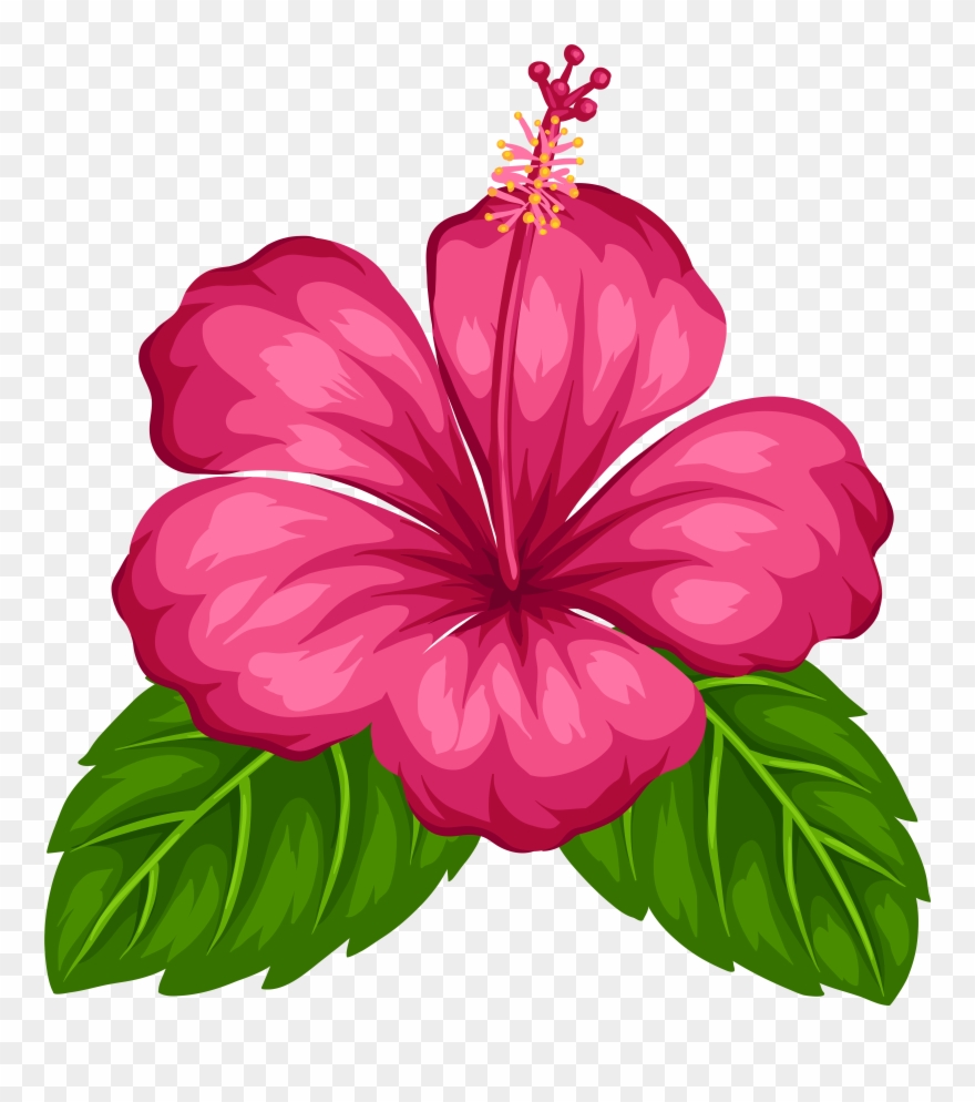 Blue Tropical Flowers Png Clipart