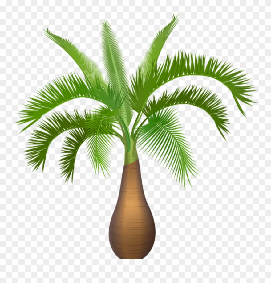 Palm Tree Plant Png Clip Art Image - Palm Trees Transparent Png