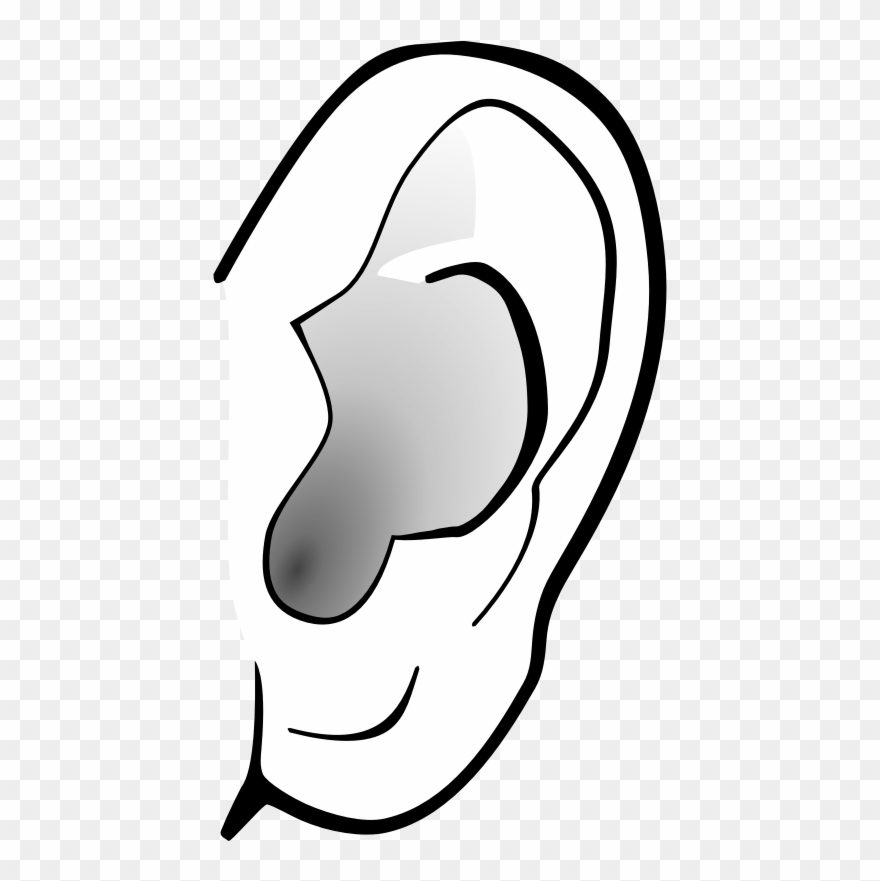 Ear Clipart Free Images - Ear Clipart Transparent Background - Png Download