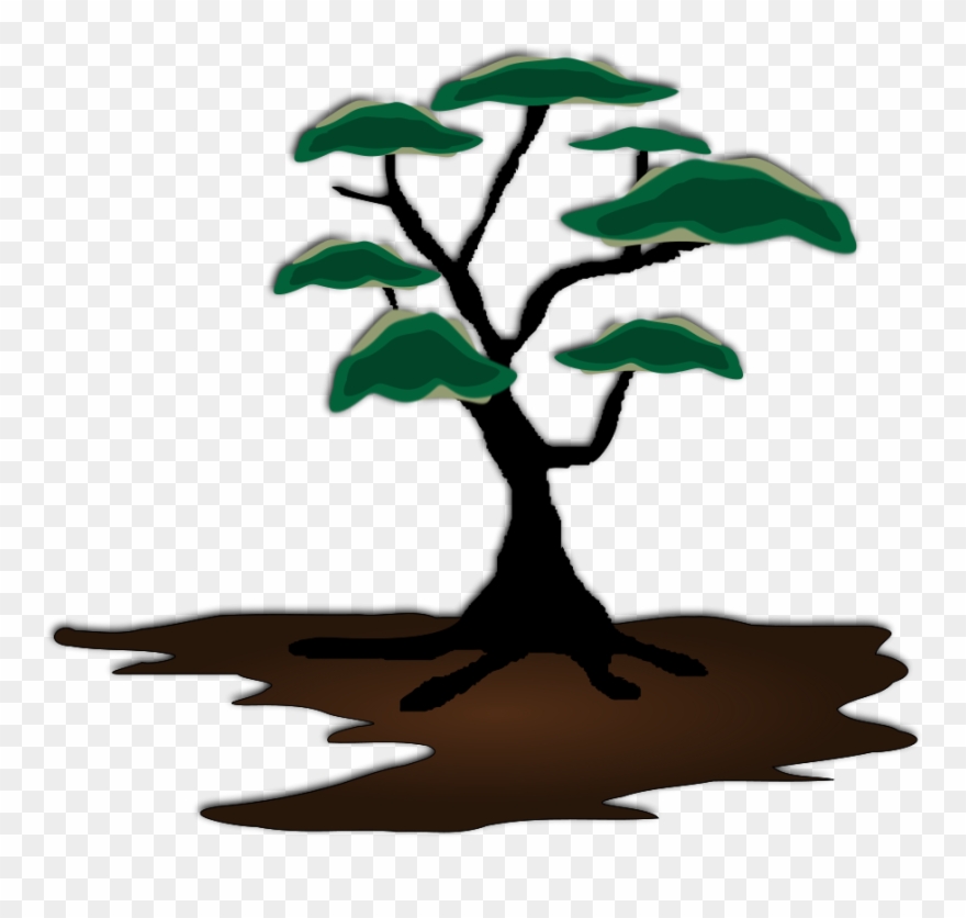 All Photo Png Clipart - Tree Clip Art African Transparent Png