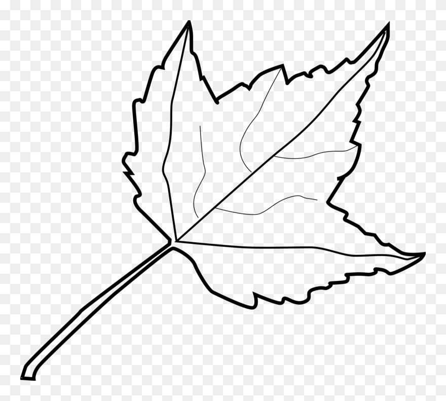 Leaf Outline Tree Outline With Leaves Clipart - Leaf Clipart Black And White - Png Download