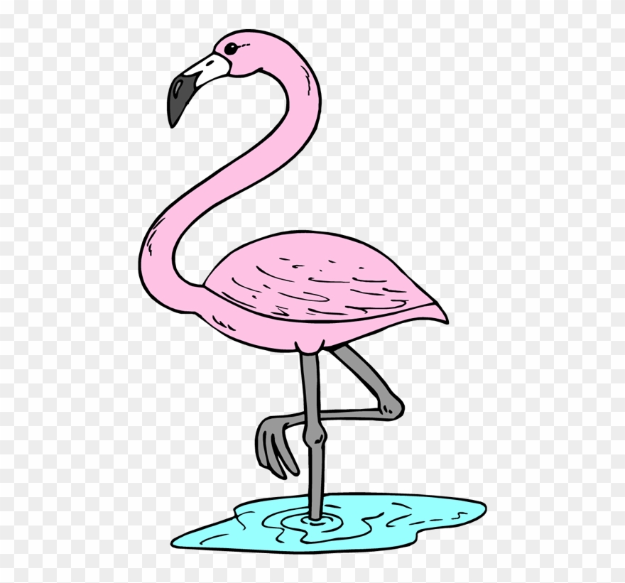 Flamingo Clipart Tropical Flamingo - Transparent Flamingo Clip Art - Png Download