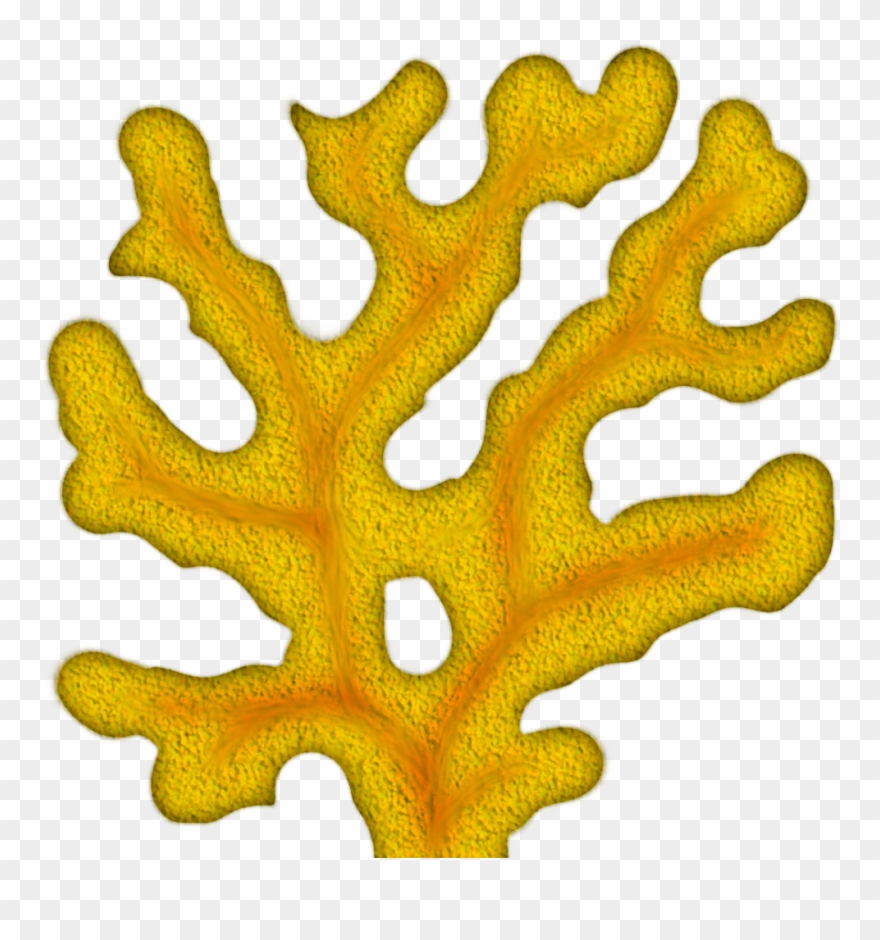 Coral Tree Cliparts - Sea Coral Clip Art - Png Download