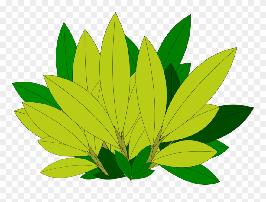 Maple Leaf Tree Branch Plant - Leaf Clipart