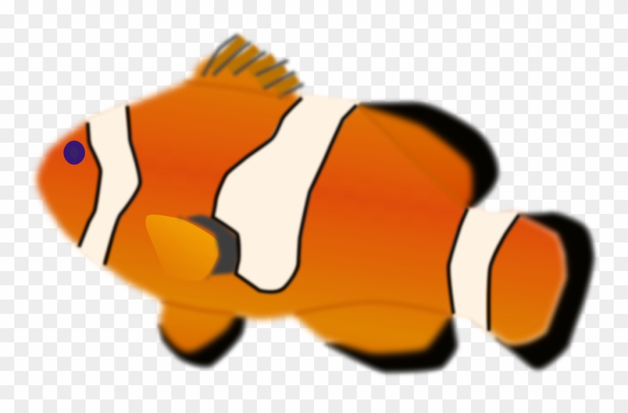 Clownfish Clipart Tropical Fish - Clown Fish - Png Download
