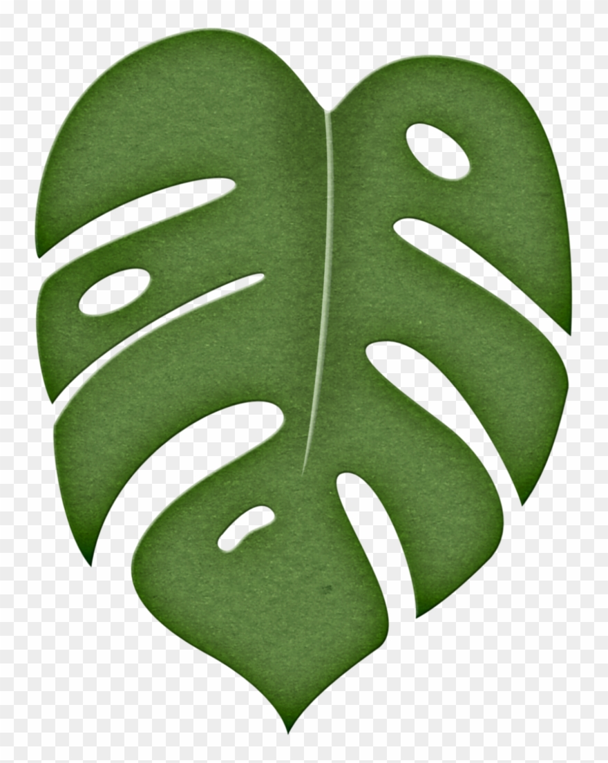 Leaves Clipart Green Tropical - Molde Costela De Adão - Png Download