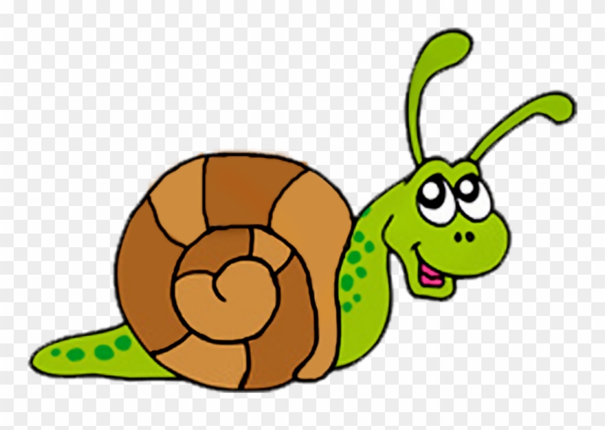 Snail Clip Art - Clip Art Picture Of Snail - Png Download