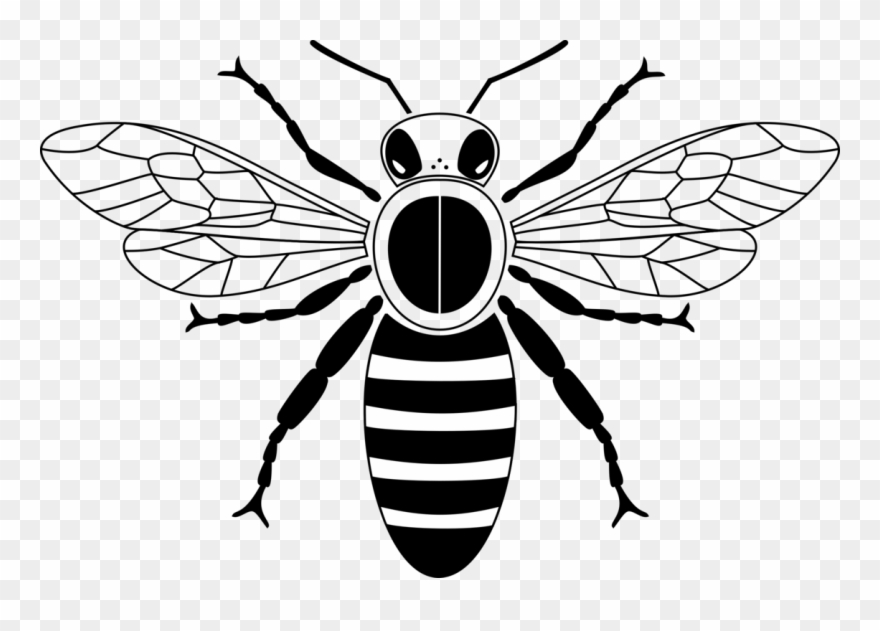 All Photo Png Clipart - Honey Bee Black And White Transparent Png