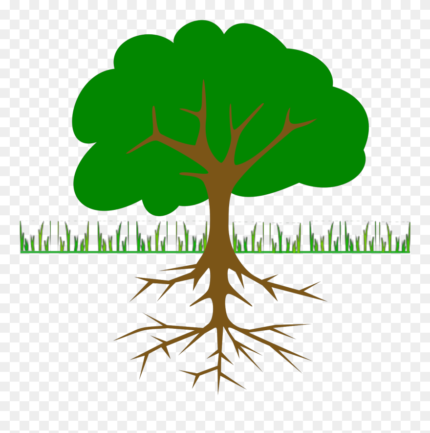 Tree Branch Clip Art Download - Tree Clip Art - Png Download