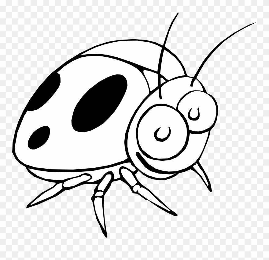 Ladybug 17 Black White Line Art Flower Scalable Vector - Insect Clip Art Black And White - Png Download
