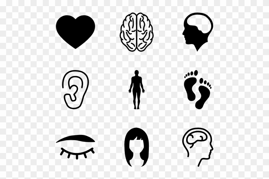 Anatomy Vector Picture Freeuse - Parts Of The Body Icon Clipart