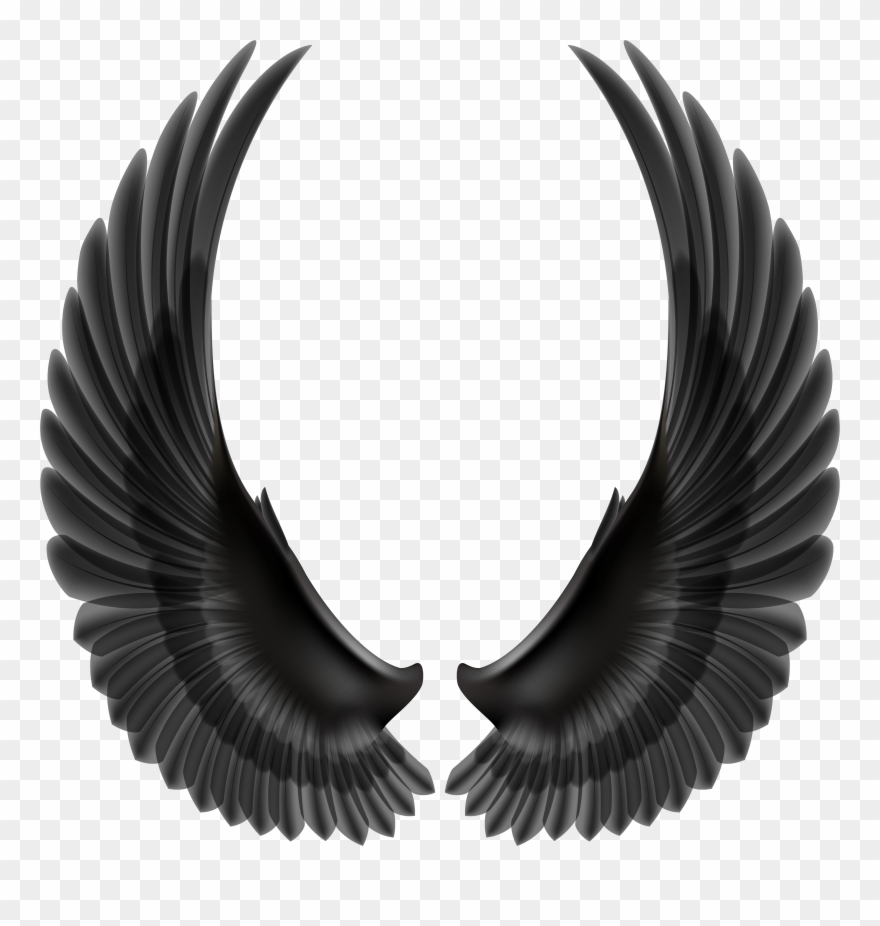Transparent Background Wings Clipart - Png Download