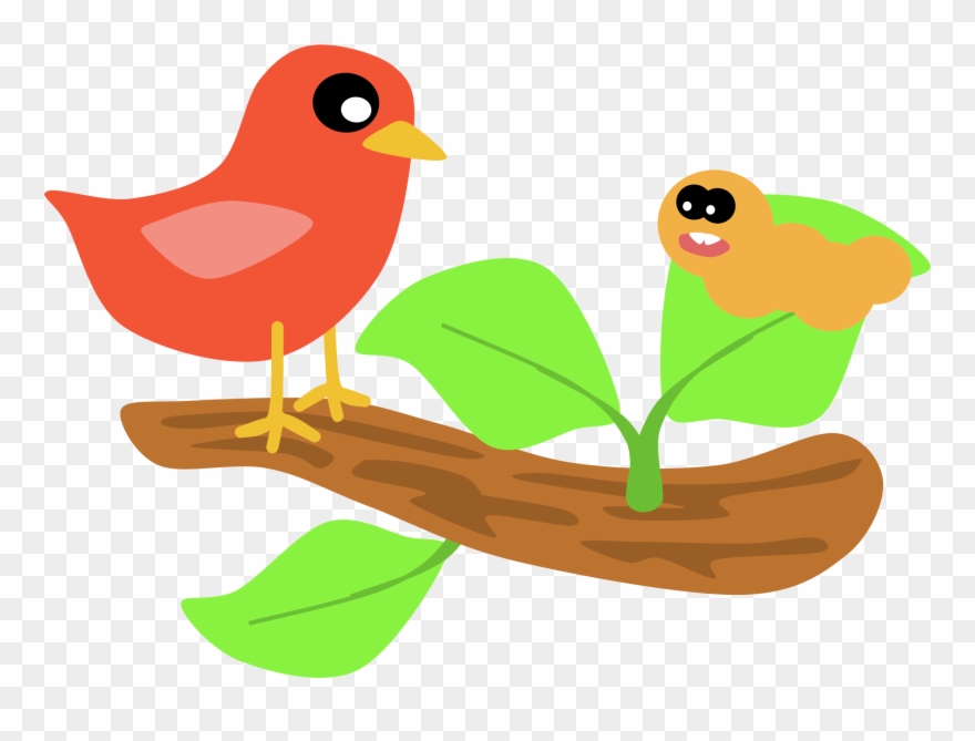 Cardinal Bird Cartoon Png Clipart