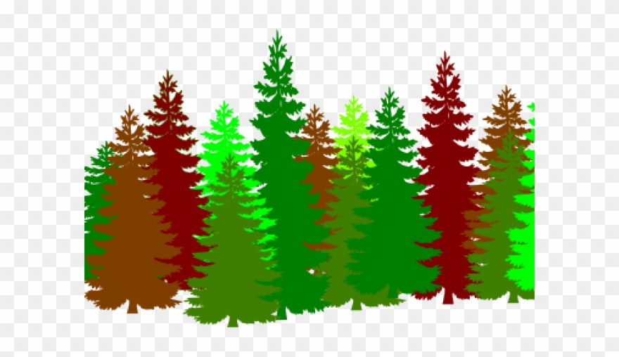 19 Forest Clipart Huge Freebie Download For Powerpoint - Lots Of Cartoon Trees - Png Download