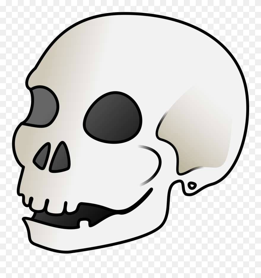 Skull Bone Clipart - Skull Clip Art - Png Download