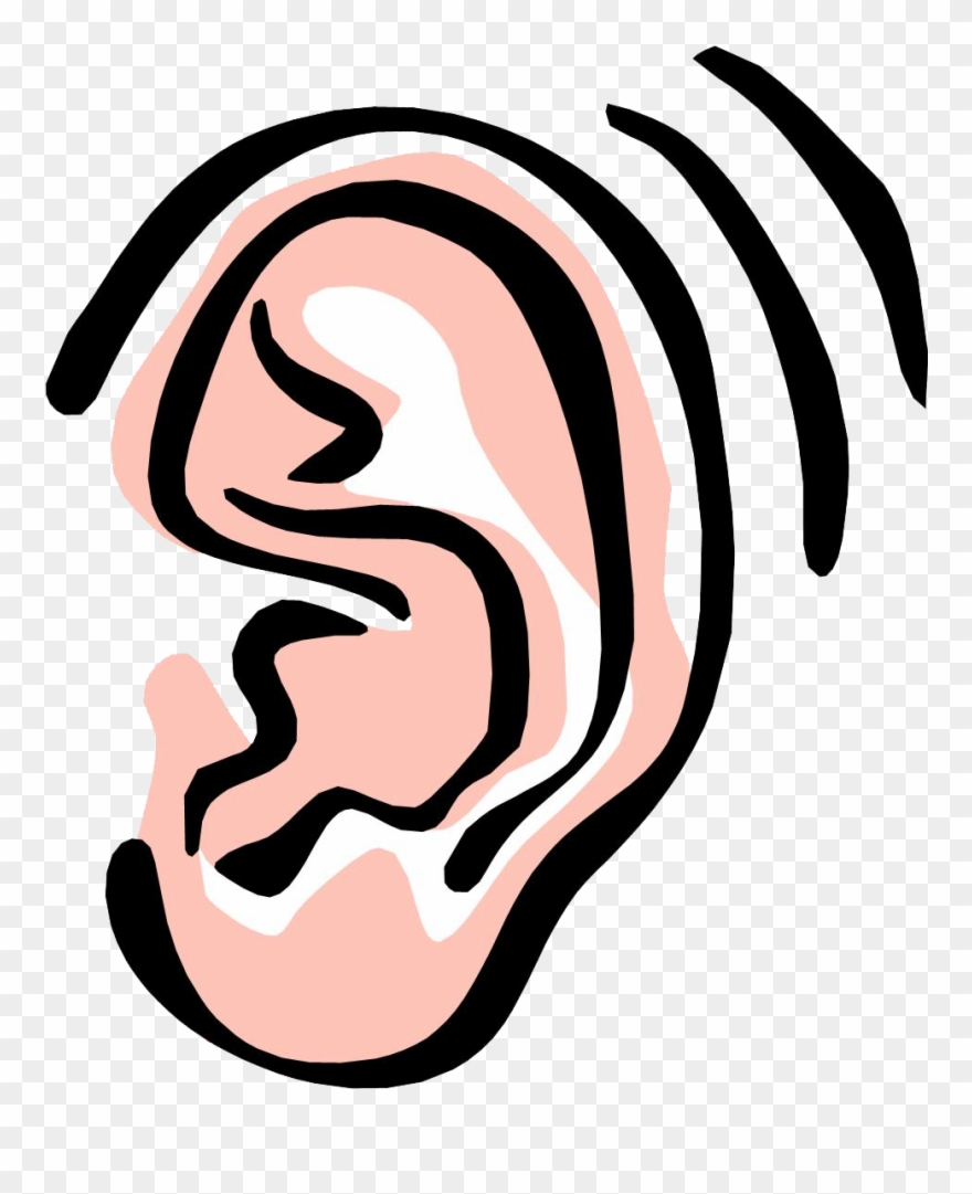 Ear Noise Cliparts - Ear Clipart - Png Download
