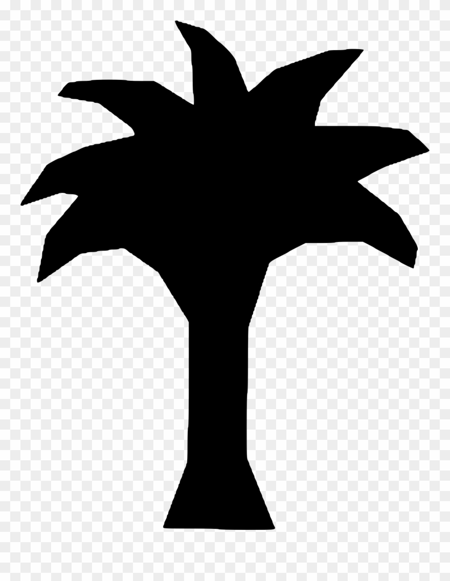 All Photo Png Clipart - Clip Art Transparent Png