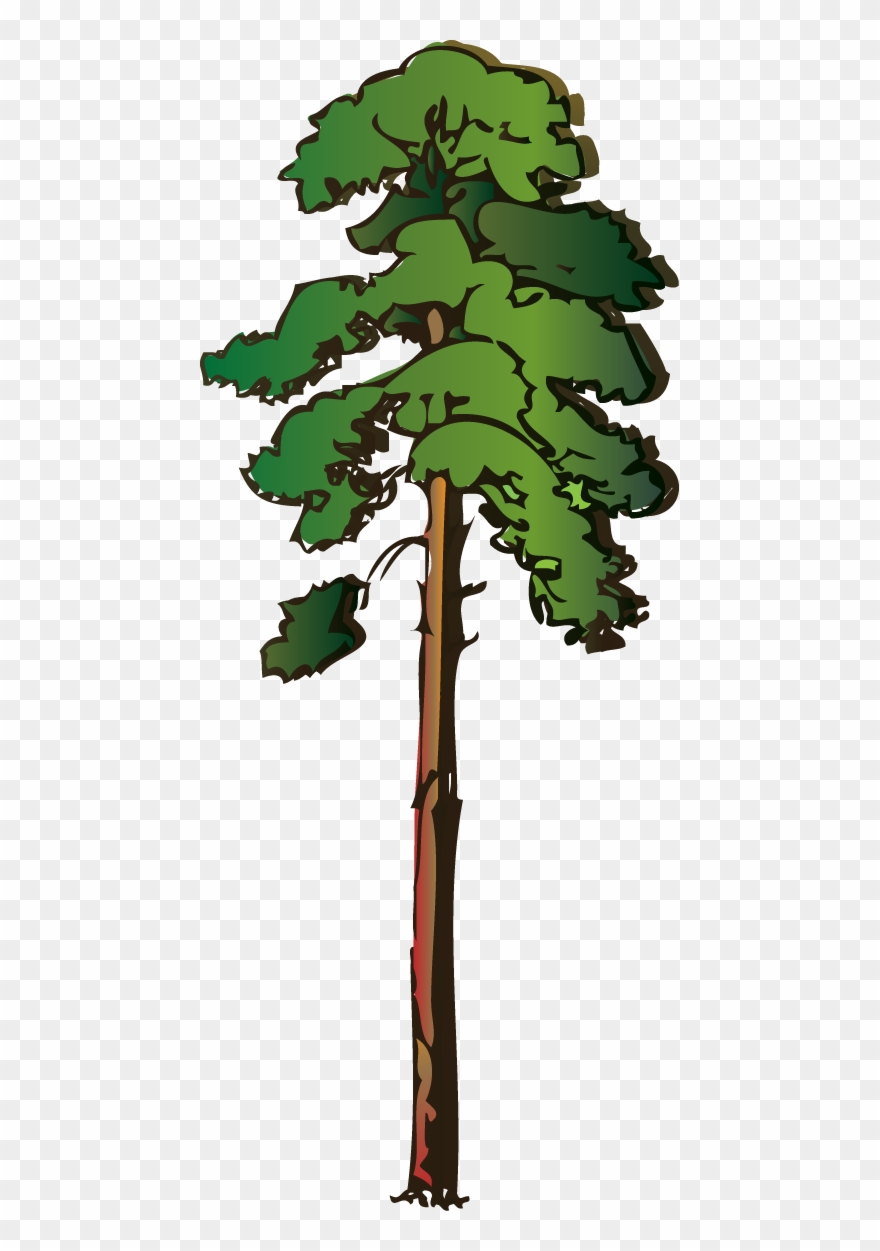 Pine Tree Clipart Png - Red Pine Tree Clipart Transparent Png