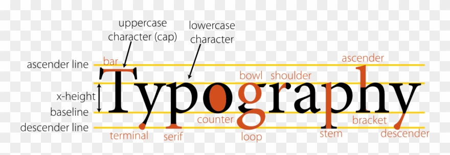 Anatomy Of Type Typography 1969px 126 - Typography Anatomy Clipart