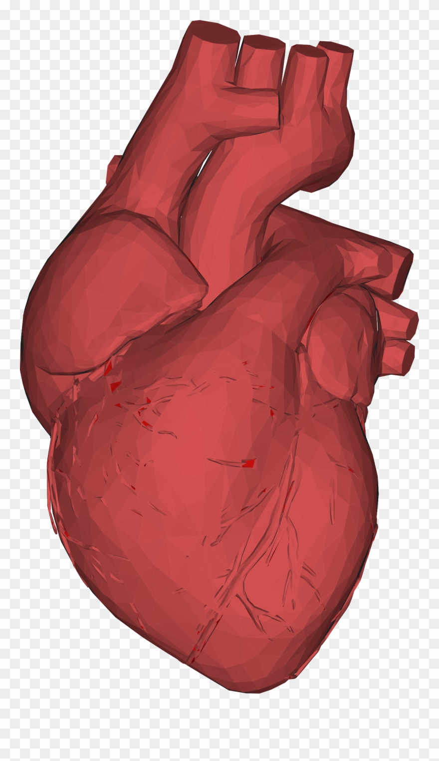 3d Computer Graphics Low Poly Heart Anatomy Thumb - Human Heart 3d Png Clipart