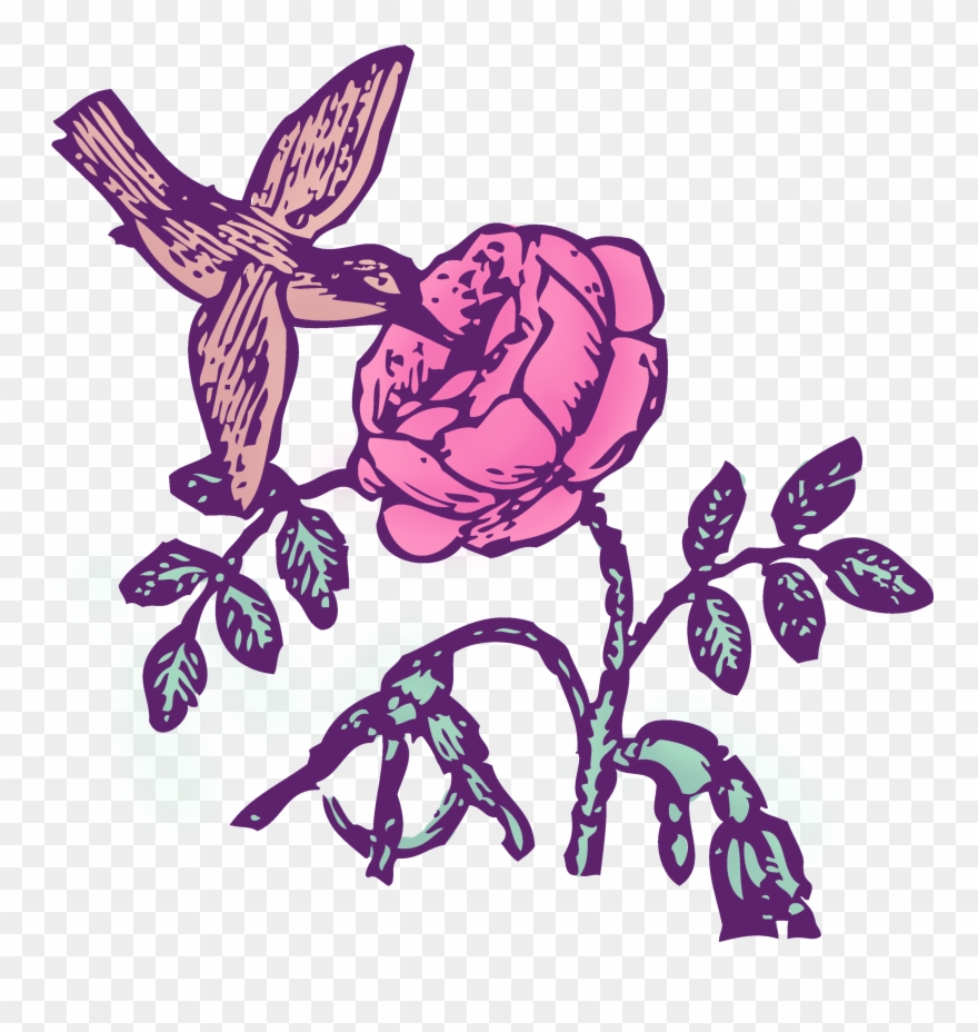 Vintage Hummingbird Rose Color Clip Art - Png Download