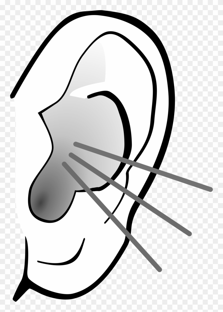 Ear Image Free Download Clip Art - Listening Ear Png Transparent Png