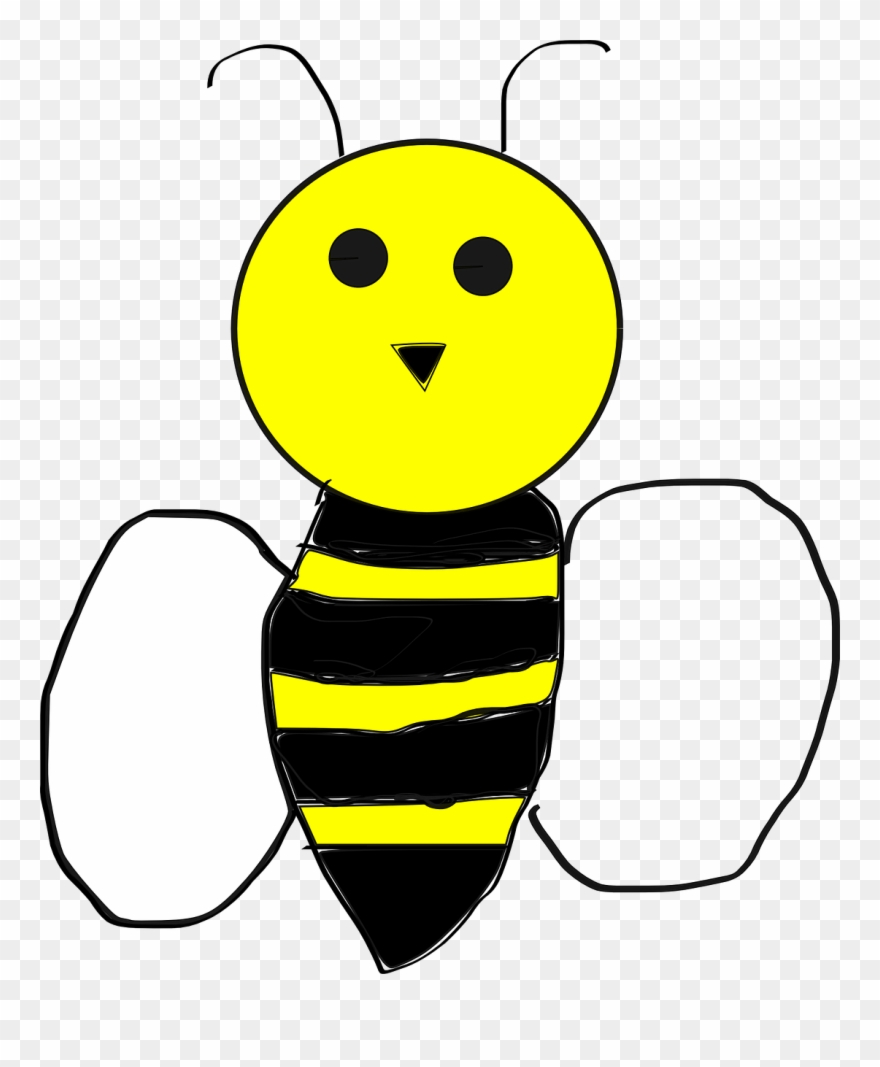 Clipart Bee Anatomy Transparent And Featured Illustration - Bee - Png Download