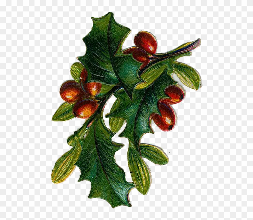 Free Victorian Christmas Tree Clip Art - Vintage Christmas Tree Graphic - Png Download