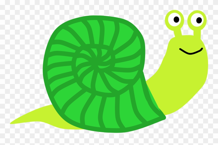Big Image - Sea Snail Clipart - Png Download