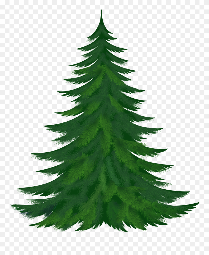 54 Free Pine Tree Clip Art - Arbol De Navidad .png Transparent Png
