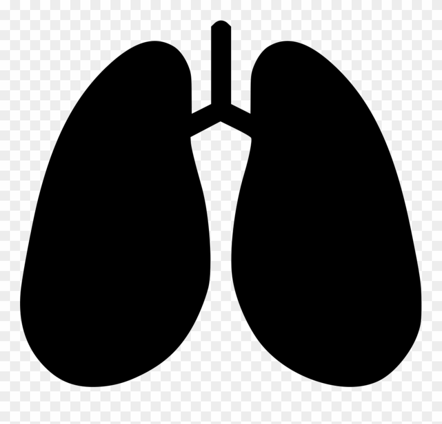 Anatomy Detoxification Hepatology Breathe - Icon Medical Png Clipart