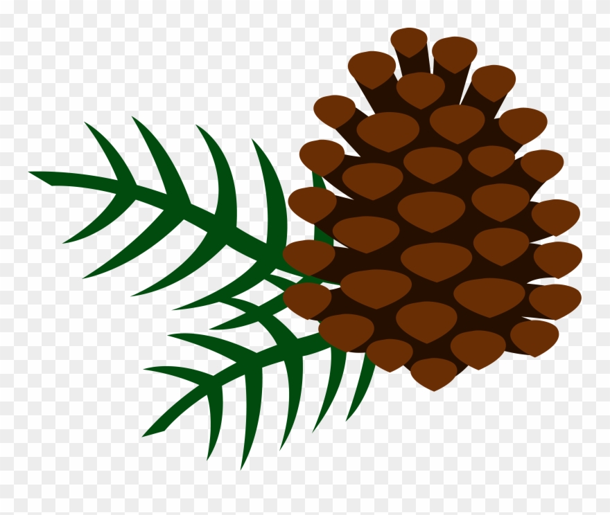 Free Clip Art Pine Trees - Pine Cone Clipart Png Transparent Png