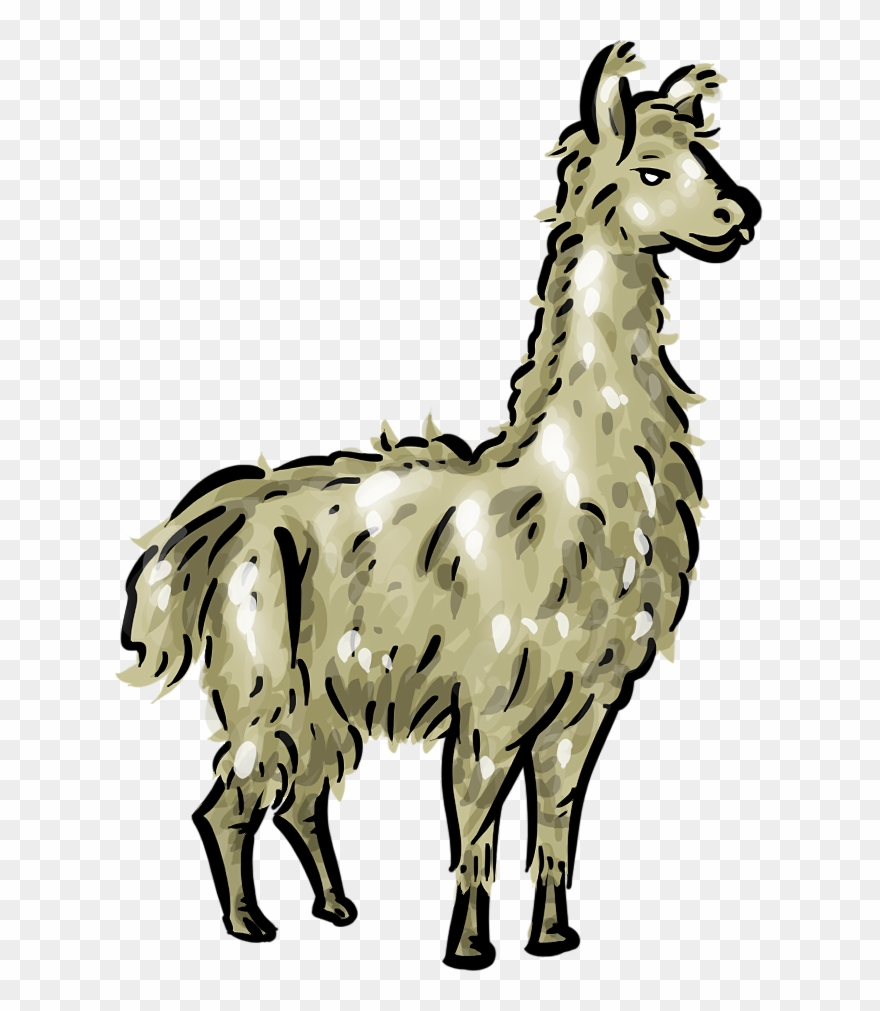 Free Llama Clipart 1 Page Of Public Domain Clip Art - Transparent Llama Clipart - Png Download