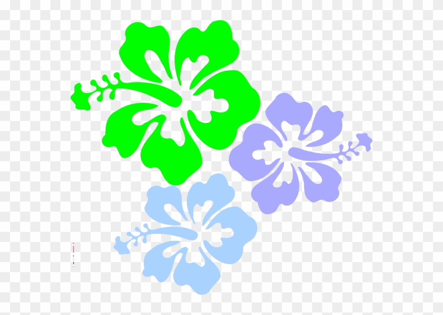 Free Hibiscus Flower Template Hibiscus Flower Print Out Clipart