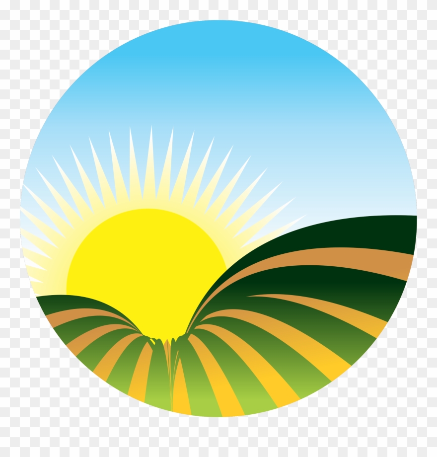 Hawaii Clipart Sunrise Beach - Sunrise Png Transparent Png