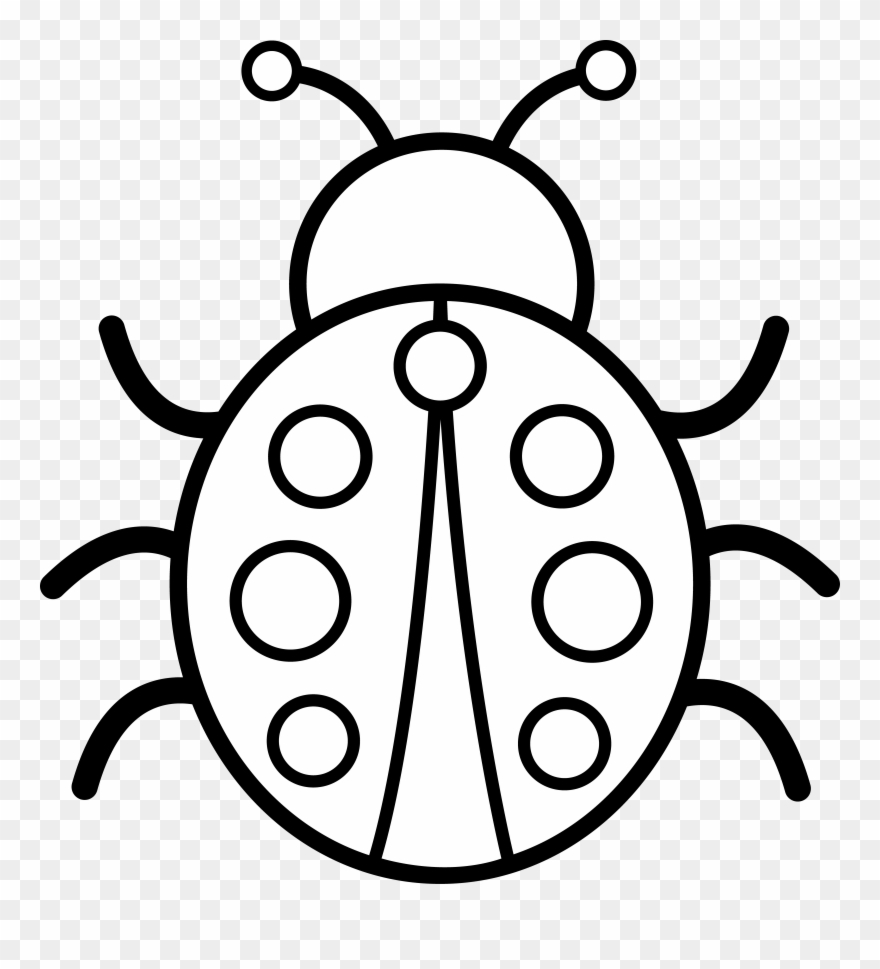 Black And White Pictures - Colouring Image Of A Bug Clipart