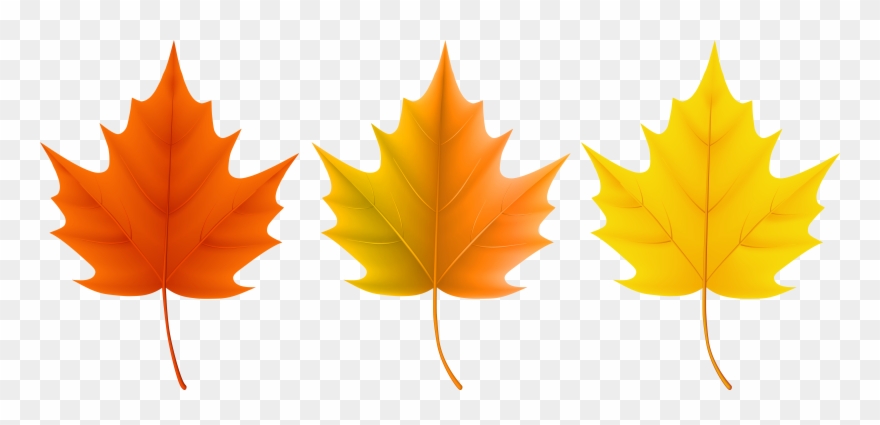 Autumn Leaves Set Png Clip Art Imageu200b Gallery Yopriceville - Different Fall Leaves Transparent Png