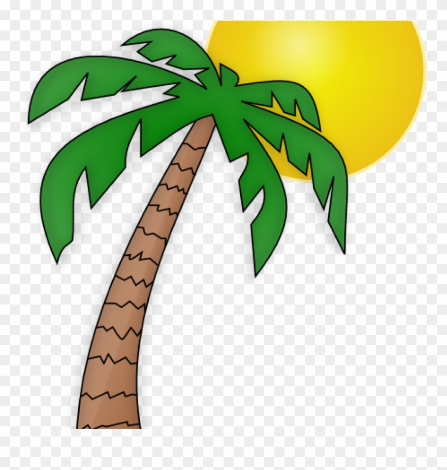 Palm Tree Clip Art Free Palm Tree Clip Art Transparent - Chicka Chicka Boom Boom Tree Clipart - Png Download