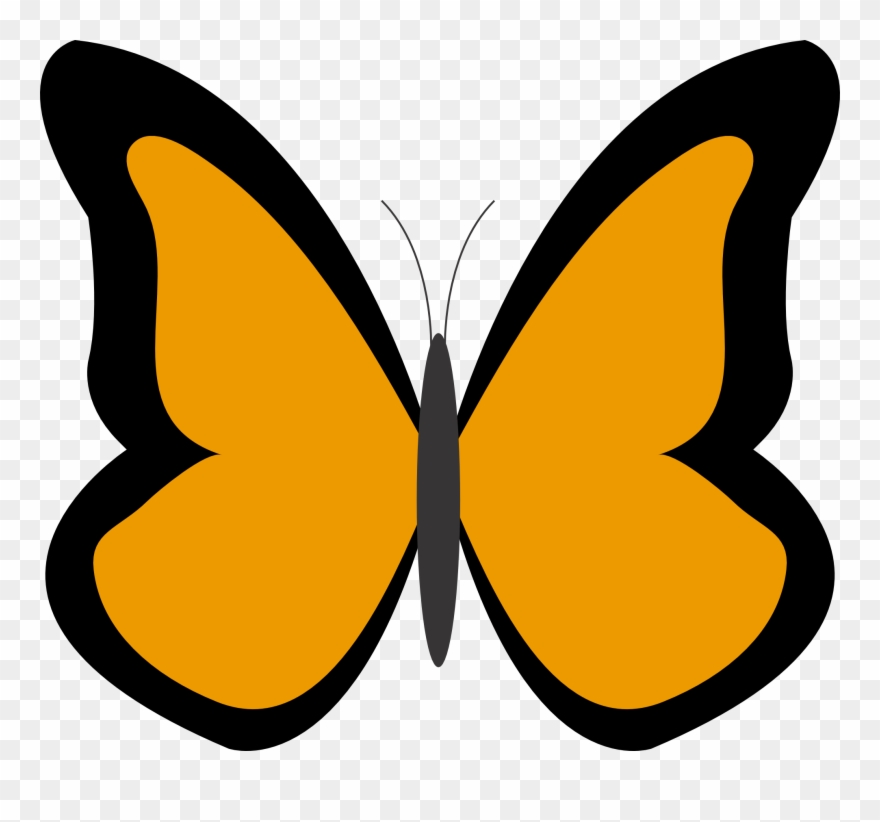 19 Orange Color Picture Royalty Free Huge Freebie Download - Simple Small Black And White Clipart