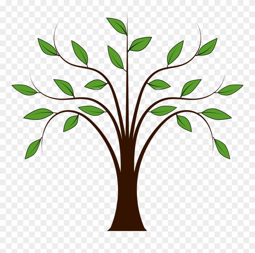 Clip Art Trees Free - Tree Clipart - Png Download