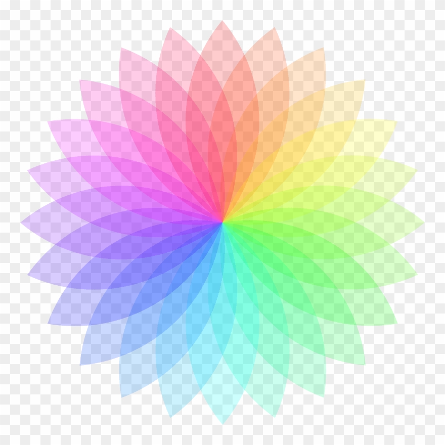 All Photo Png Clipart - Graphic With A Circular Design Transparent Png