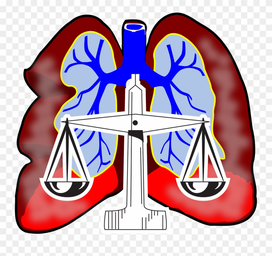 Lungs Clip Art - Png Download