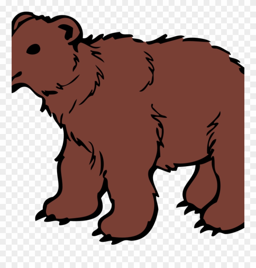 Bear Cliparts Grizzly Bear Clipart At Getdrawings Free - Bear Photos Black And White - Png Download